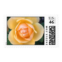 Yellow Rose stamps