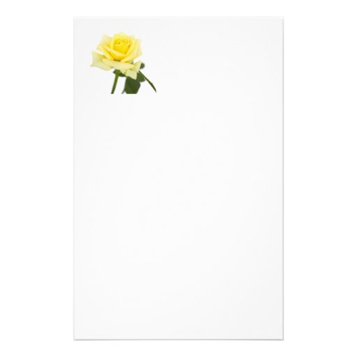 Yellow rose stationery Zazzle