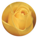 Yellow Rose stickers