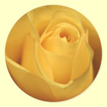Yellow Rose stickers