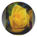 Yellow Rose stickers