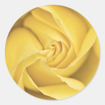 Yellow Rose Sticker