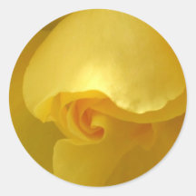 Yellow Rose Sticker