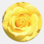 Yellow Rose Sticker