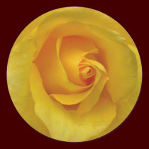 Yellow Rose Stickers Cheerful Rose Gifts Keepsake stickers