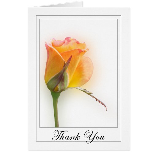 Yellow Rose Thank You Card
