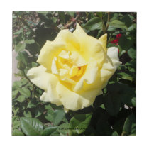 YELLOW ROSE TILE