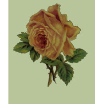 Yellow Rose t-shirts by ArtbyJean Yellow Rose t-shirts