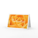 Yellow Rose Valentine Greeting Card