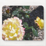 Yellow Rose w Pink Trim Mousepad