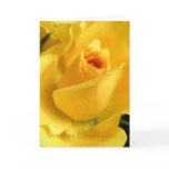Yellow Rose Wedding Invitation cards