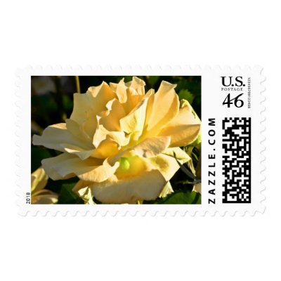 Yellow Rose Wedding Invitation Stamps