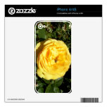 Yellow Rose With A Bee Decals For iPhone 4
