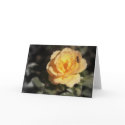 Yellow Rose with Bee cards by CarolAnnPE Yellow Rose with Bee cards