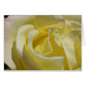 Yellow Rose with Morning Dew cards by ggbythebay Yellow Rose with Morning Dew cards