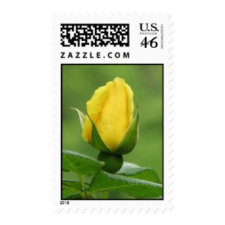 Yellow rosebud stamp