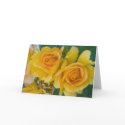"Yellow Roses # 253" cards