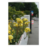 Yellow Roses cards
