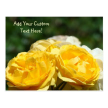 Yellow Roses Custom Post Cards Rose Gardens