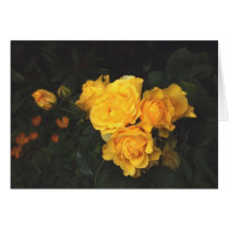 Yellow Roses Greeting Cards
