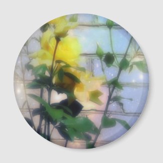 Yellow Roses Magnet