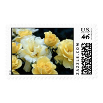 Yellow Roses Postage Stamp stamps