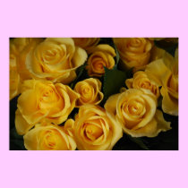 Yellow Roses posters