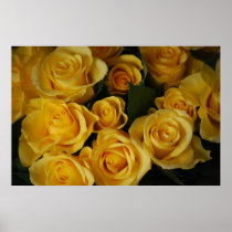 Yellow Roses posters