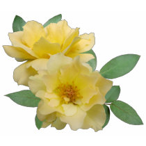 Yellow Roses t-shirts