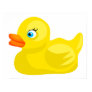 animal, animals, bird, birds, duck, ducks,