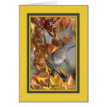 yellow_rumped_warbler_5533 card