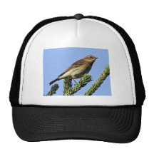 Yellow-rumped Warbler Mesh Hat