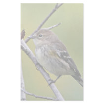 Yellow-rumped Warbler stationery by animalpark Yellow-rumped Warbler stationery