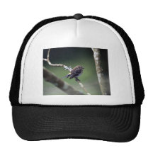 Yellow-rumped warbler trucker hat