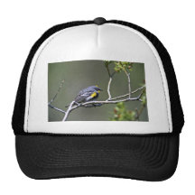 Yellow-Rumped Warbler Trucker Hats