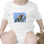 Yellow-rumped Warbler Tshirts