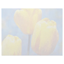 yellow 'Santiaga', Darwin Hybrid Tulips flowers Custom Letterhead