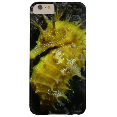 Yellow Seahorse | Hippocampus Guttulatus Barely There iPhone 6 Plus Case