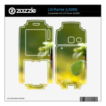 Yellow Sedum LG Rumor Decal