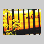Yellow Shades canvas prints
