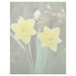 yellow Small-cupped Narcissi, 'Baby Doll' flowers Custom Letterhead