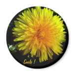 Yellow Smile magnets