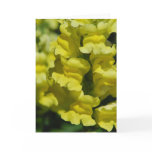 "Yellow Snapdragons" Greeting Card