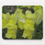 YELLOW SNAPDRAGONS mousepad