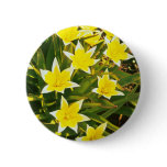 peach-yellow, flowers, tulips, garden, plants,