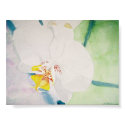 yellow speckeled orchid posters by lionarted yellow speckeled orchid posters