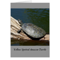 Yellow-spotted Amazon turtle Greeting Cards