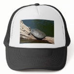 Yellow-spotted Amazon turtle Trucker Hat