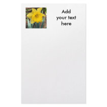 Yellow Spring Daffodil Stationery Design
