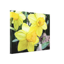 Yellow Spring Daffodils Gallery Wrapped Canvas